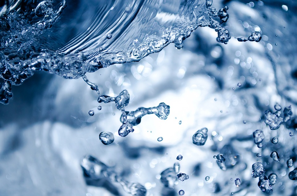 Como preparar el agua para tu acuario
